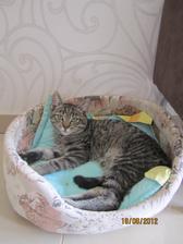 A čiči je stale u nas...vybral si nas..tak ho nevyhaňame.Uz bol aj u veterinara.Je odcerveny,uska vycistene, bude ockovany.chcelo by to aj operaciu vyklbenej a zle zrastenej zadnej labky, ale... stoji dost penazi a celkom si zvykol , beha ale...