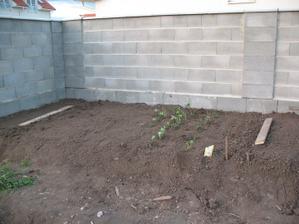 Naša mini zahradka na rajcinky,jahodky a nejaku cviklu a hrasok..naviezli sme asi 40cm na vysku. Ziadna slava, ale pokial nie je upraveny teren, posluži a potesi aj tento kúštik :) viac jej aj tak nikdy nebude treba, len to nebude taketo torzo :-D