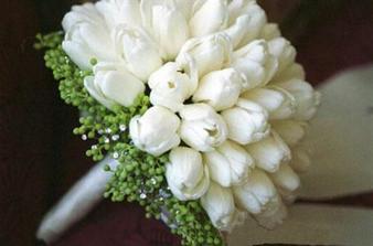 chcela by som tulipany, aj ked neviem neviem, marec...
