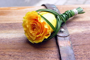 pierko1...