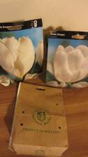 dnes se nám vrátil zájezd z Holandska a spolu se spokojenými klienty dorazily i cibulky tulipánů. Už to mám vymyšlené jak příští jaro pokvetou mezi modřenci a čemeřicí.