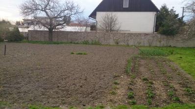 18.4.2015 pozemek po zimě