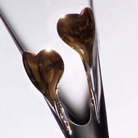 detail nasich poharov...asi budem pit Baileys