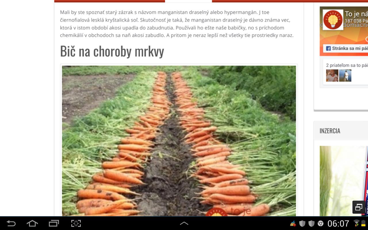 Pestovateľov mrkvy, určite zaujme... - Obrázok č. 2