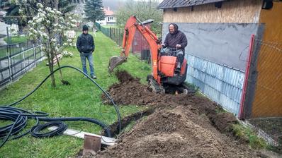 táto hruštička nám trošku zavadzia, báber ju vykopal a presadil na nové miesto za domom