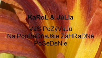 Pozvánka na záhradné posedenie po obrade - takto vyzerala tá po internete posielaná (v papierovej verzii bola iná - na dúhový papier žltý až červený čiernymi rovnakými písmenami napísané toto isté)