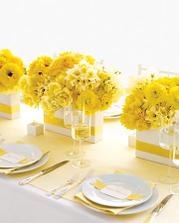 Fresh yellow and white