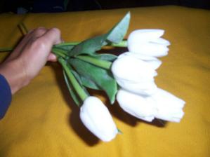 tulipánky pro malinkou družičku.