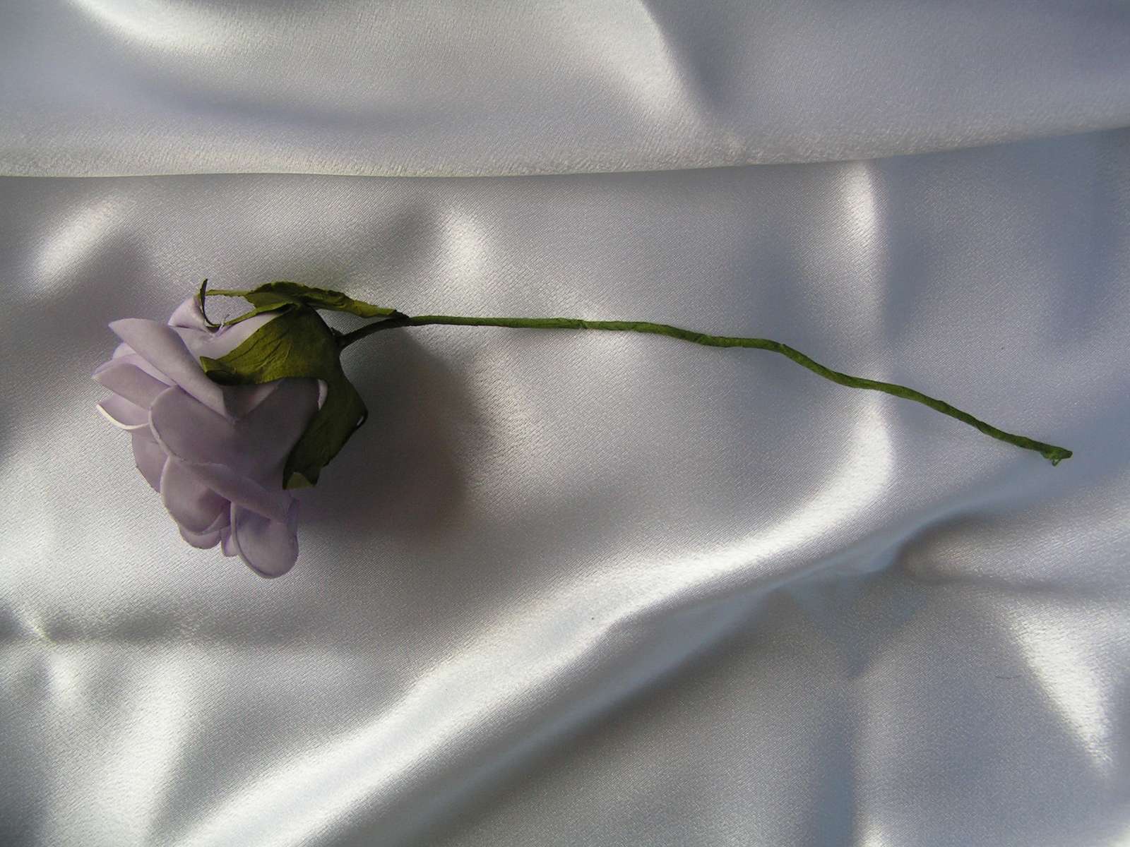 Světle fialová pěnová růže, 7 cm květ - Obrázek č. 2