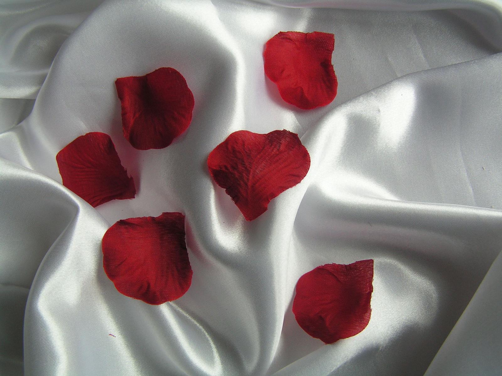 Textilní plátky růží - Obrázek č. 1