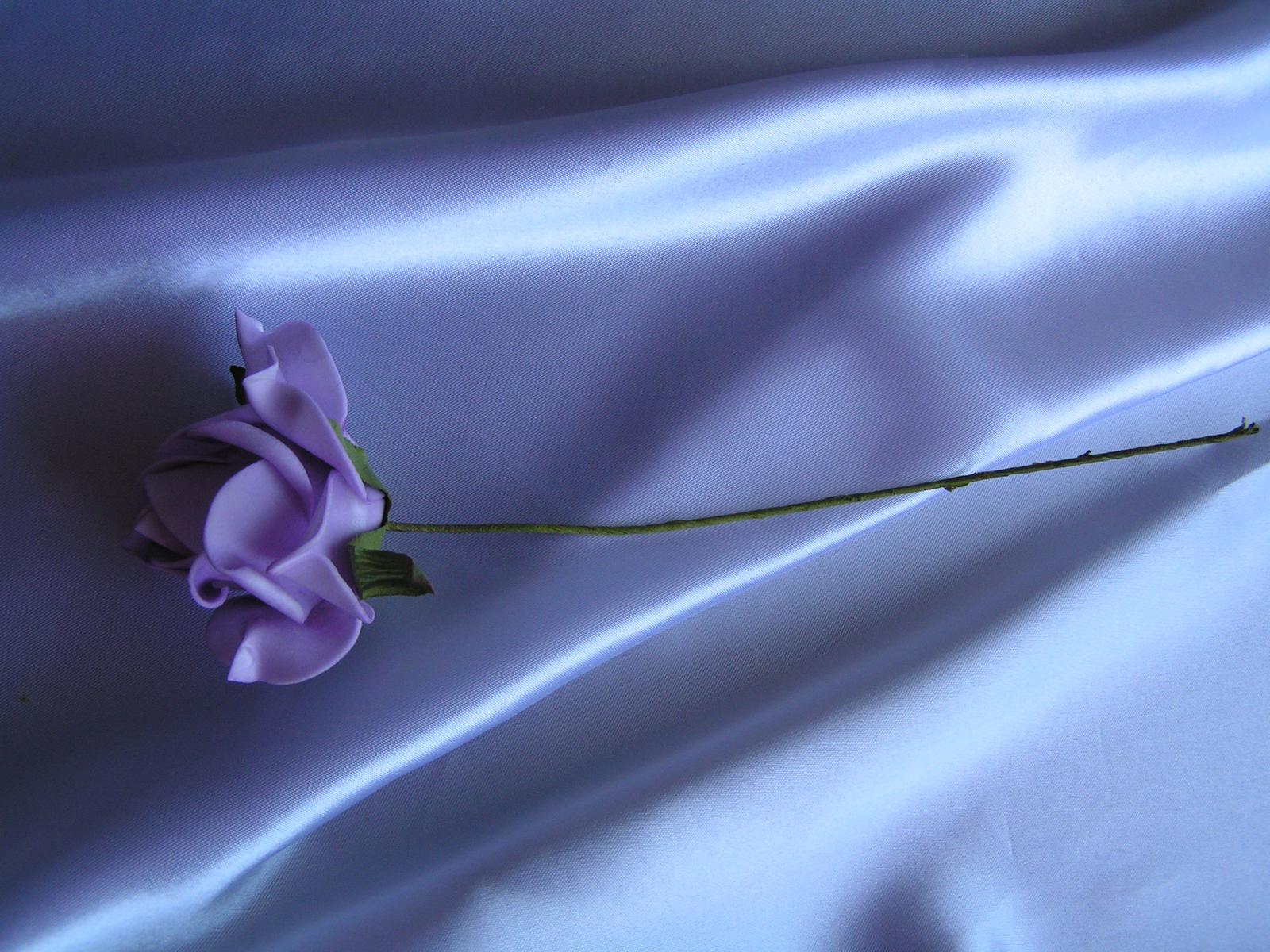 Světle fialkové pěnové růže - 7 cm - Obrázek č. 3