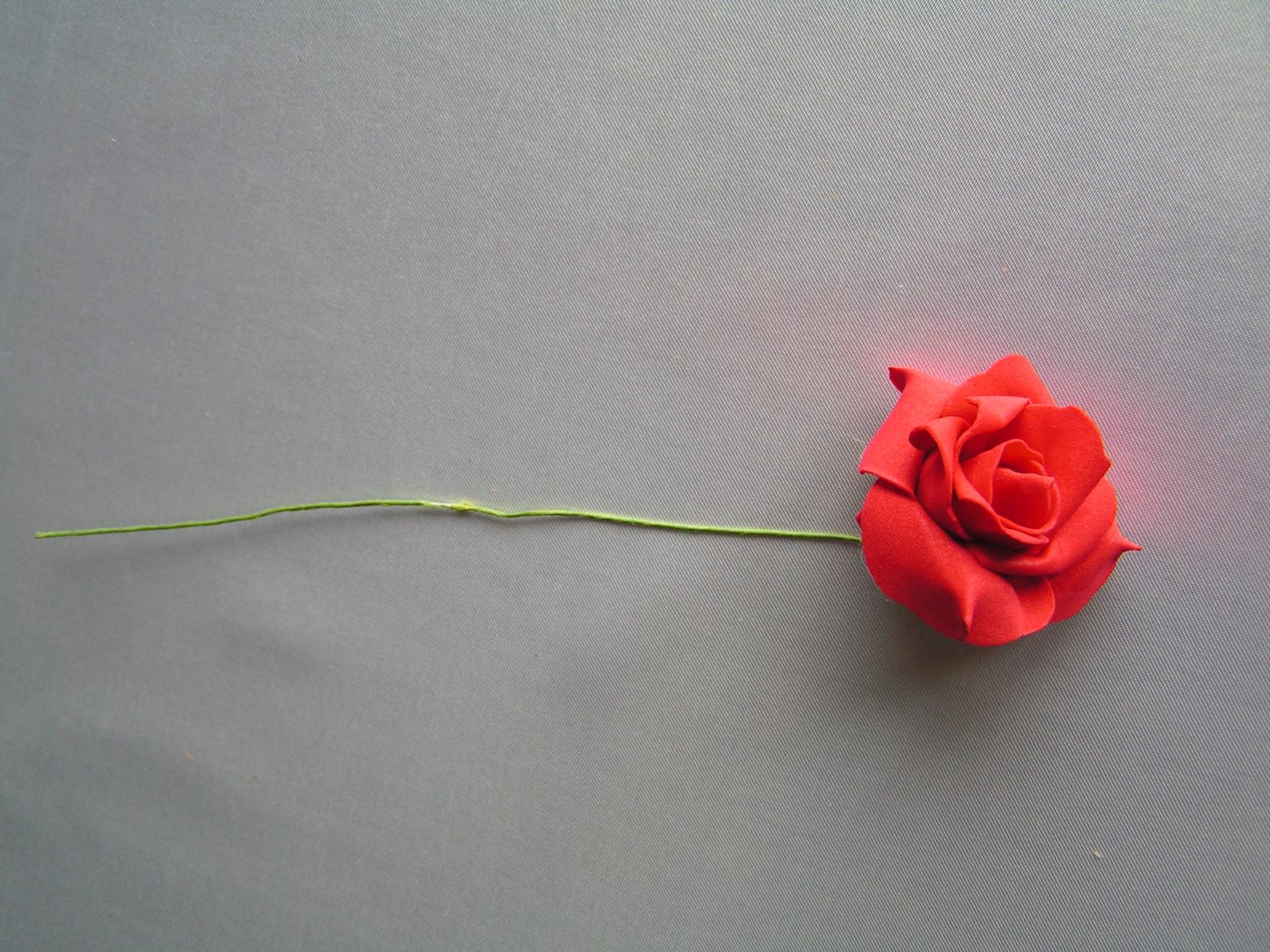 Červené pěnové růže - Obrázek č. 1