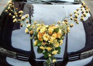 Toto sa mi veľmi páči na ženíchové auto