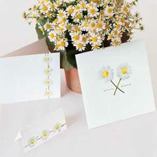 pekne oznameni=pretty invitation