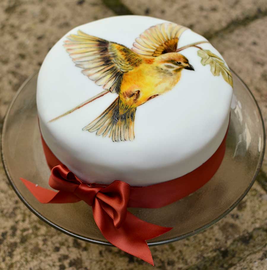 Malované dorty - Birds