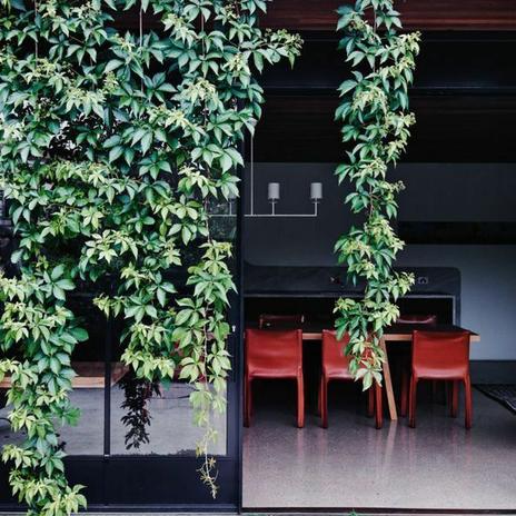 Projekt pergola