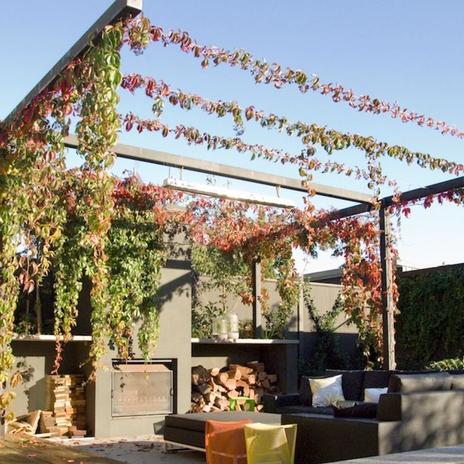 Projekt pergola