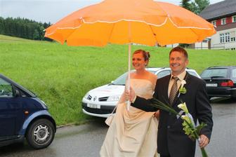 oranzovy "slnecnik"