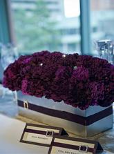 Carnations