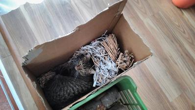Naša Lujzička objavila nové miesto na odpočinok :)