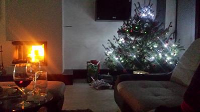 Stastne a vesele vianoce prajeme kazdym stavbarom....