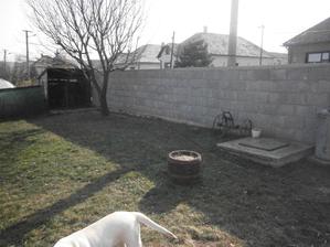 dvor z jary 2012