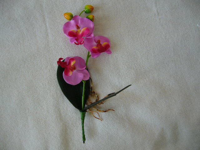 orchidea - Obrázok č. 1