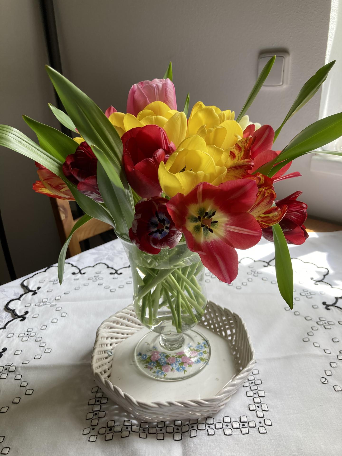 2021 🍀🤞🏻 - Posledni tulipany ze zahrady