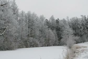 a sněhem