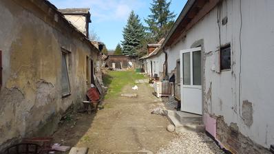 Dvor rok 2014.