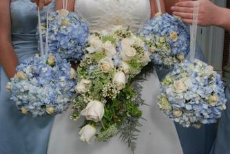 hydrangea bouquet, they even have the same bridesmaids dresses :)