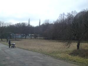 rok 2014...pozemok, na ktorom nás čaká veľa roboty aj bez stavby