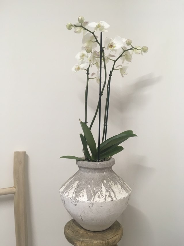Šedobílá váza/květináč - Obrázek č. 1
