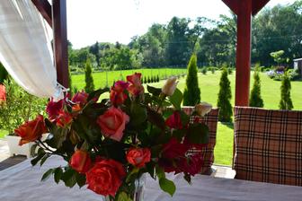 I ❤ 🌹🌼🌻🌾🍀🌷🌺🌸