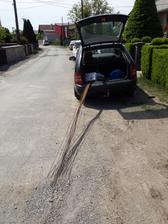 Tak sa nosia roxory :D