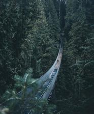 Capilano Suspension - Bridge park