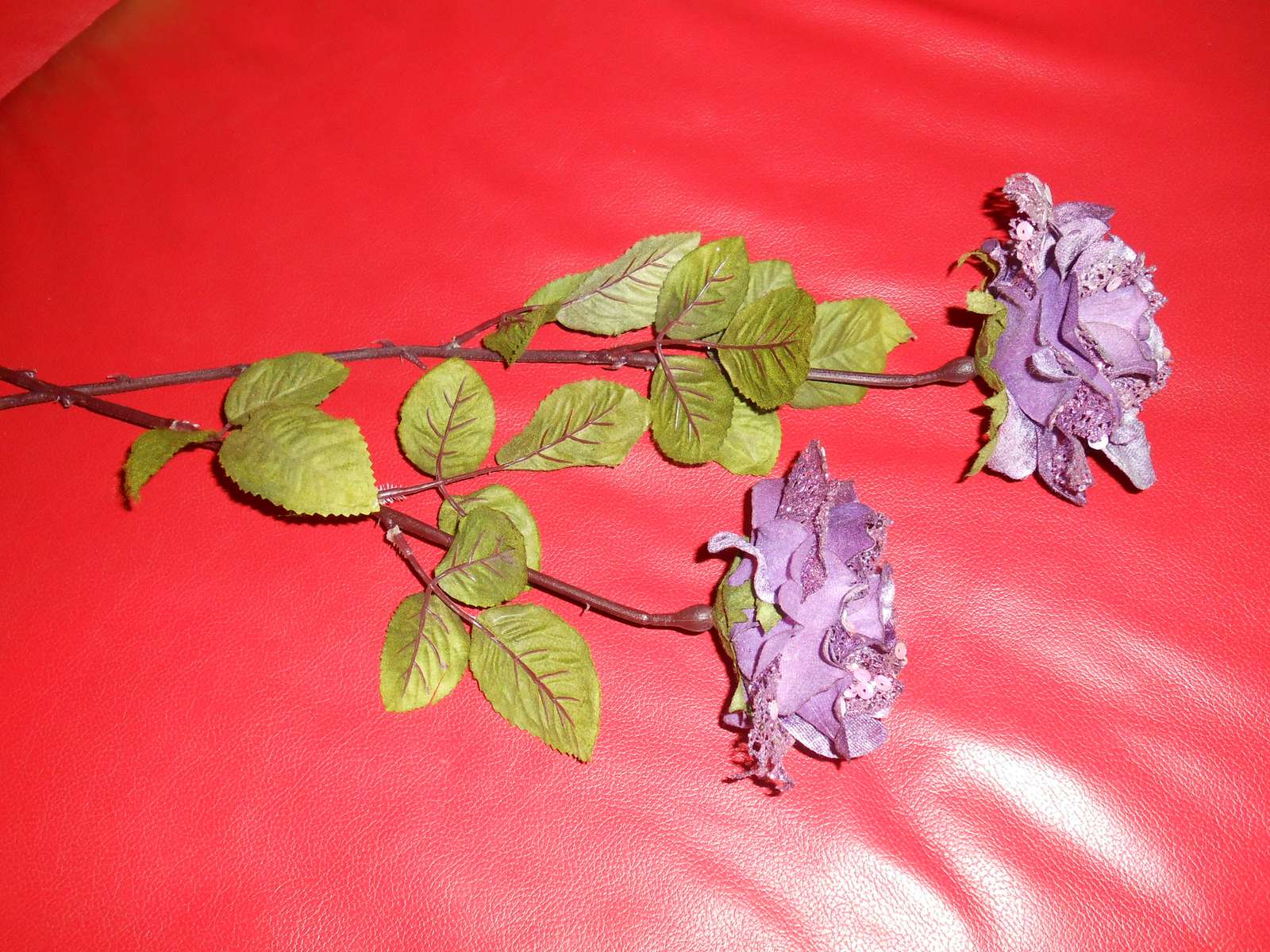 2 fialové ruže - Obrázok č. 3