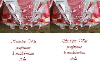 uz mame aj pozvanku, toto je forma do tlace..