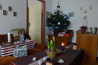 Štědrý den dopoledne..dárečky zabalené, jen na ně Ježíšek zapomněl dát cedulky..tak u čaje přemýšlí, co kdo najde pod stromečkem..