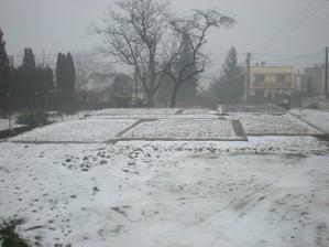 zima 2010