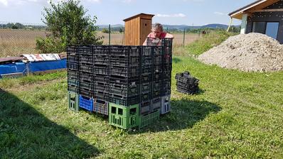 Trtivodove bednicky