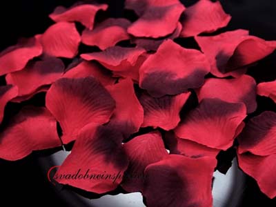 Lupienky ruží - Bordovo-červené (100 ks za 1,15 E) - Obrázok č. 1
