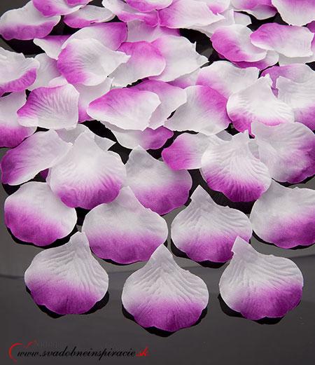 Lupienky ruží Bielo-Fialové (100 ks) - Obrázok č. 1