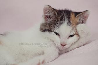 Mischa...