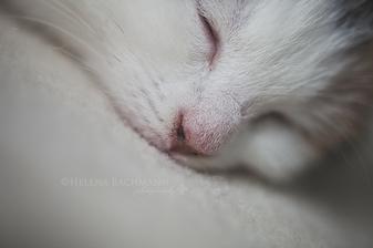 nufacik moj.. a tie fuziky do radu idu... :-)