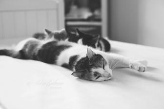 Mascha krmi Mischine babys.. <3