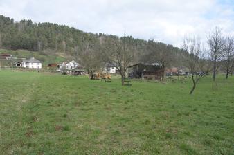 A z juhu na sever. Naľavo brázda, ktorá nás delí od susedovho pozemku.