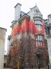 Oxford