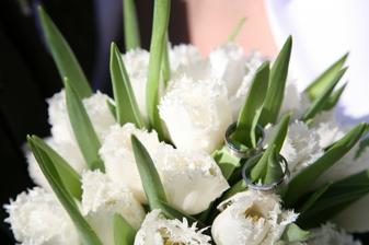 svadobná kytička .......tulipany, papagájové