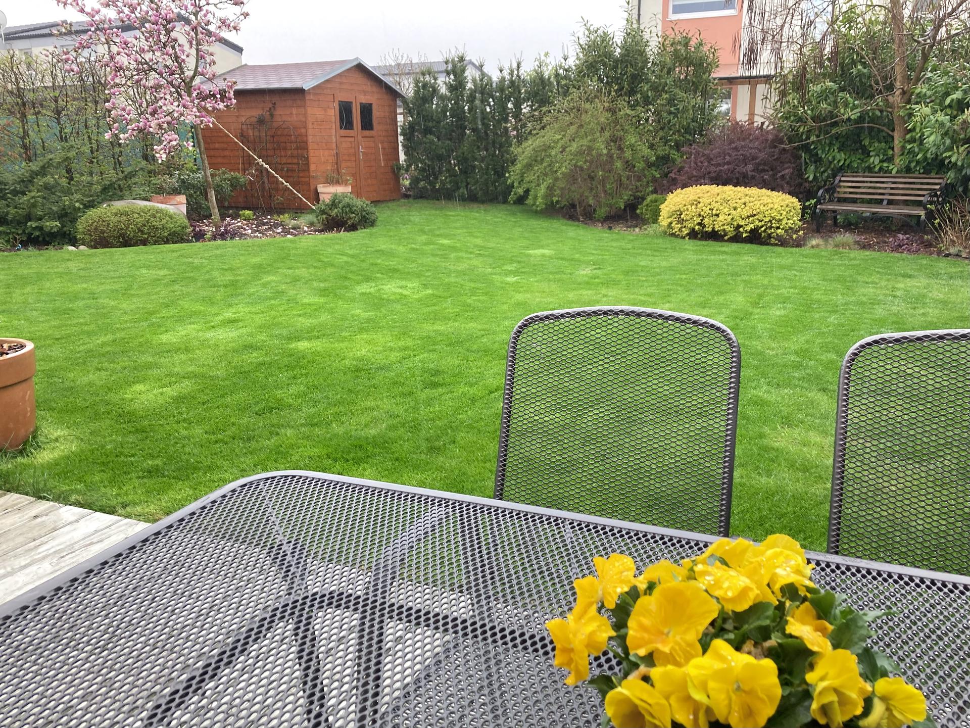 Zahrada 2022 - celou nedeli leje, ale travnicek na tom vydelal- chytil z toho barvu Anglie 💚